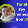 D-letter-names-for-boy-in-Tamil