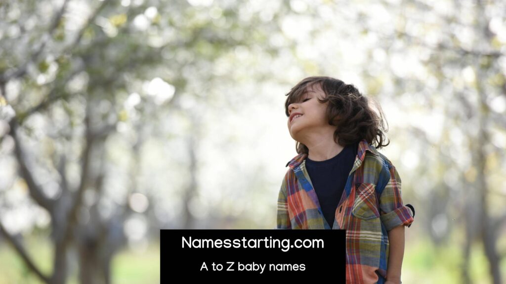 Indian-boy-names-starting-with-I-with-numerology
