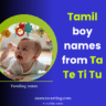tamil-baby-boy-names-starting-with-ta-te-ti-tu